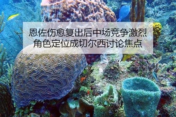 恩佐伤愈复出后中场竞争激烈 角色定位成切尔西讨论焦点
